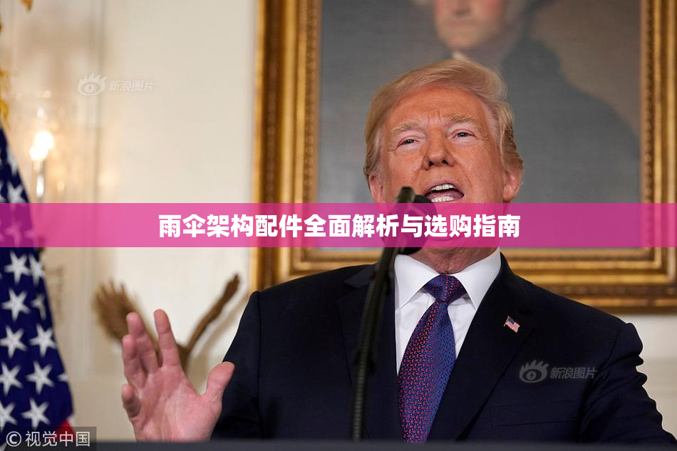 雨伞架构配件全面解析与选购指南