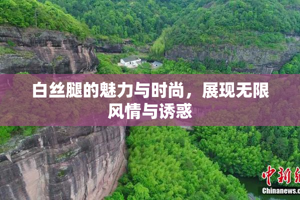 白丝腿的魅力与时尚，展现无限风情与诱惑
