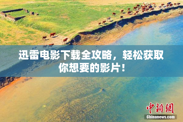 迅雷电影下载全攻略，轻松获取你想要的影片！