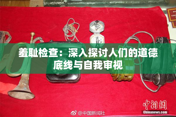 羞耻检查：深入探讨人们的道德底线与自我审视