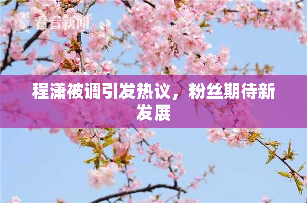 程潇被调引发热议，粉丝期待新发展