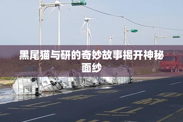 黑尾猫与研的奇妙故事揭开神秘面纱