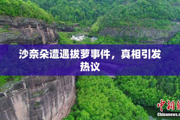 沙奈朵遭遇拔萝事件，真相引发热议