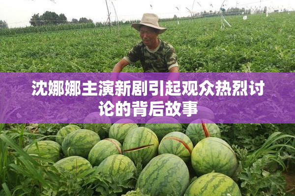 沈娜娜主演新剧引起观众热烈讨论的背后故事