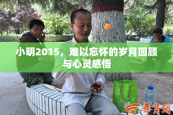 小明2015，难以忘怀的岁月回顾与心灵感悟