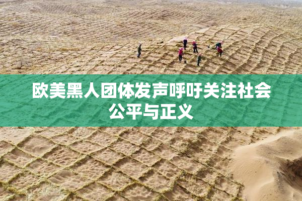 欧美黑人团体发声呼吁关注社会公平与正义