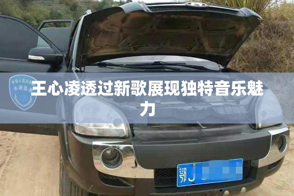 王心凌透过新歌展现独特音乐魅力