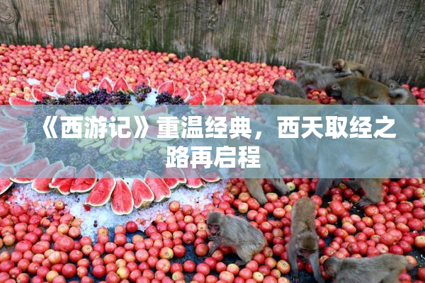 《西游记》重温经典，西天取经之路再启程