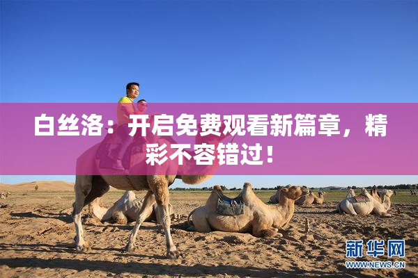 白丝洛：开启免费观看新篇章，精彩不容错过！