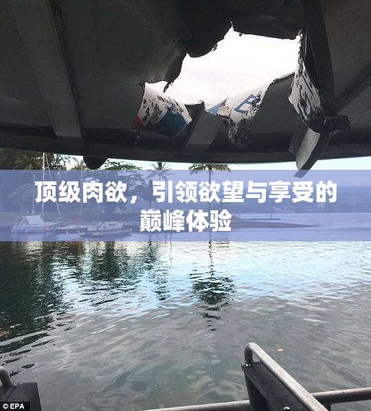 顶级肉欲，引领欲望与享受的巅峰体验
