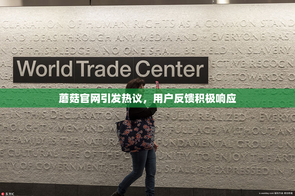 蘑菇官网引发热议，用户反馈积极响应