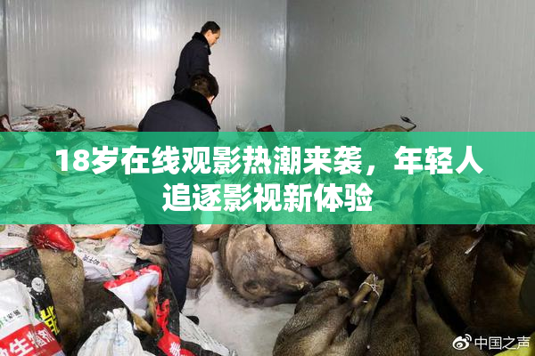 18岁在线观影热潮来袭，年轻人追逐影视新体验