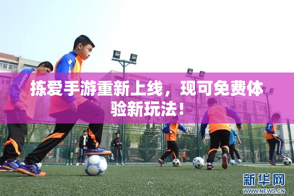拣爱手游重新上线，现可免费体验新玩法！