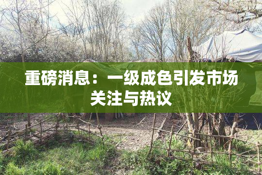 重磅消息：一级成色引发市场关注与热议