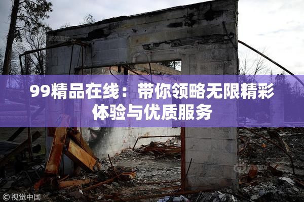 99精品在线：带你领略无限精彩体验与优质服务