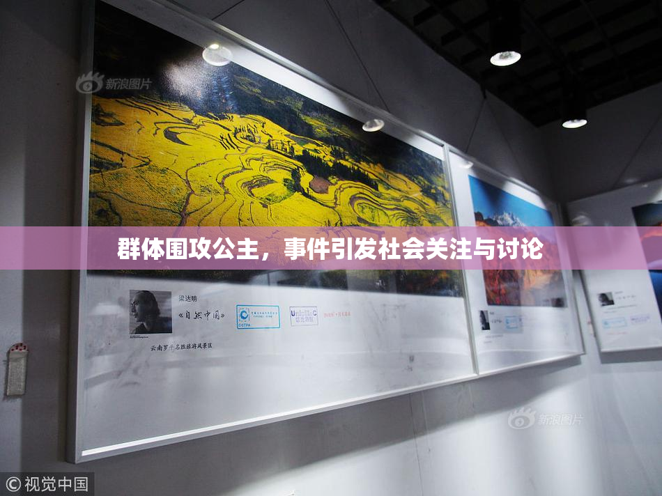 群体围攻公主，事件引发社会关注与讨论