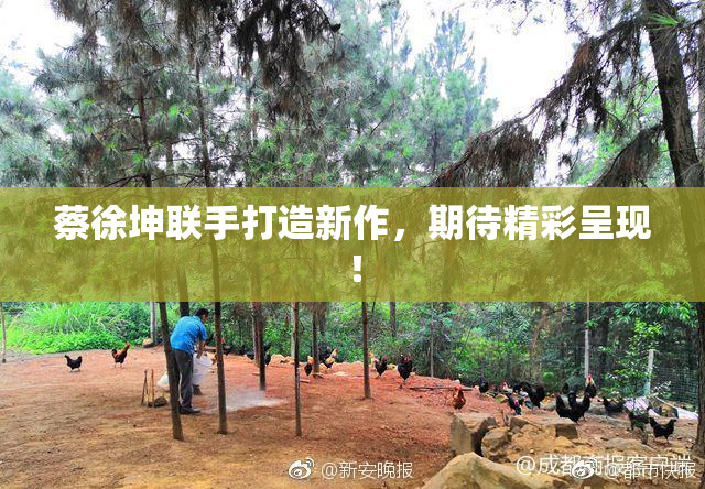 蔡徐坤联手打造新作，期待精彩呈现！
