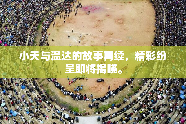 小天与温达的故事再续，精彩纷呈即将揭晓。