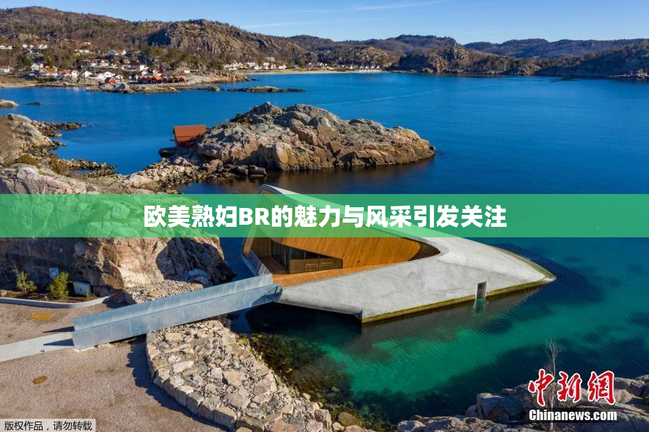 欧美熟妇BR的魅力与风采引发关注
