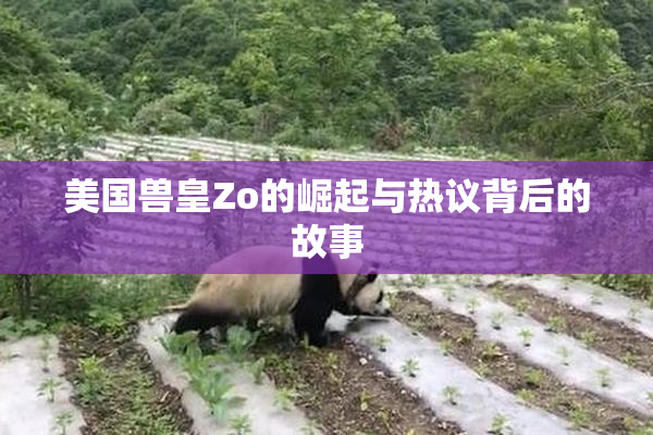 美国兽皇Zo的崛起与热议背后的故事