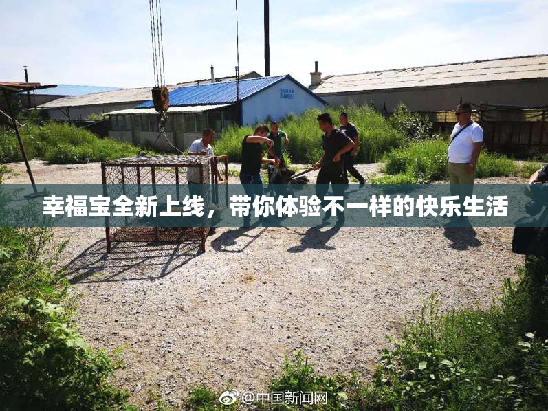 幸福宝全新上线，带你体验不一样的快乐生活