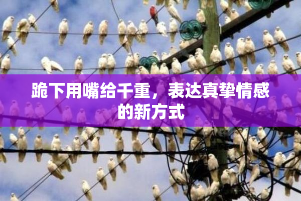 跪下用嘴给千重，表达真挚情感的新方式
