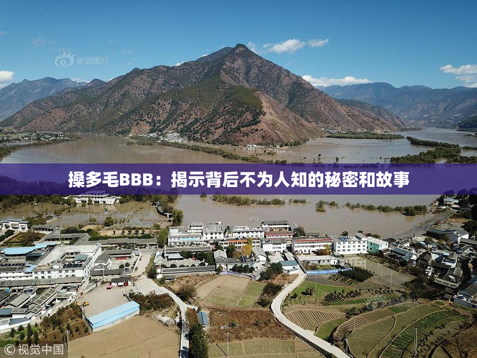 搡多毛BBB：揭示背后不为人知的秘密和故事