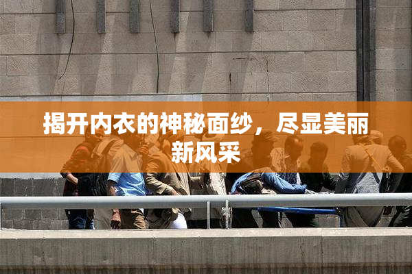 揭开内衣的神秘面纱，尽显美丽新风采