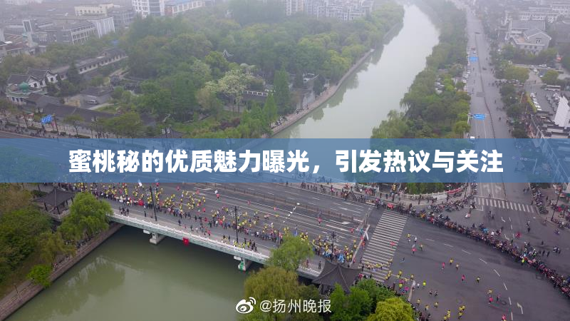 蜜桃秘的优质魅力曝光，引发热议与关注
