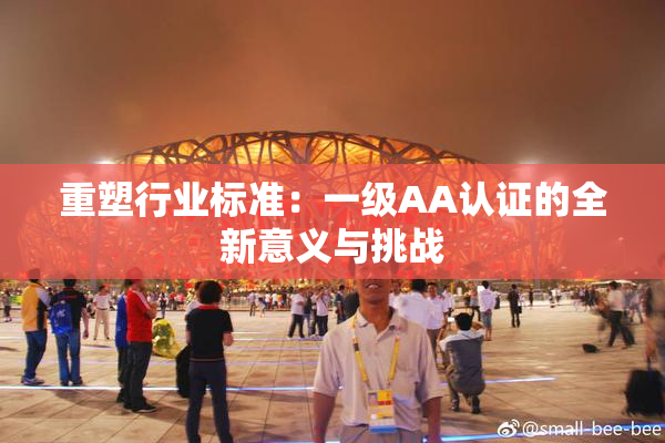 重塑行业标准：一级AA认证的全新意义与挑战