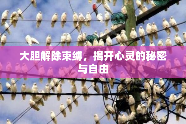 大胆解除束缚，揭开心灵的秘密与自由