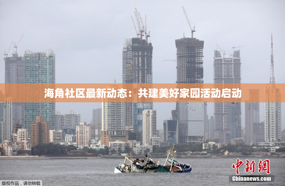 海角社区最新动态：共建美好家园活动启动