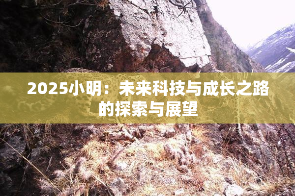 2025小明：未来科技与成长之路的探索与展望