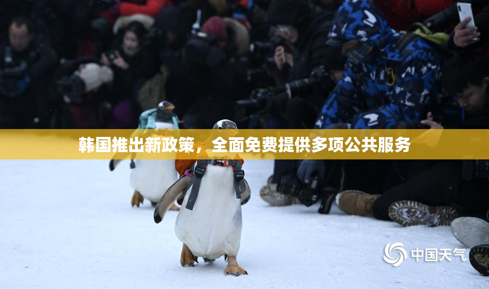 韩国推出新政策，全面免费提供多项公共服务
