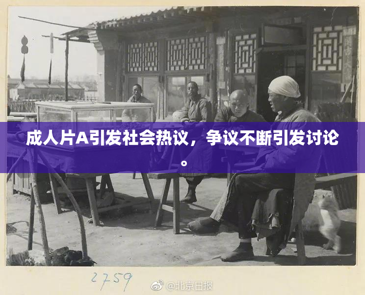 成人片A引发社会热议，争议不断引发讨论。
