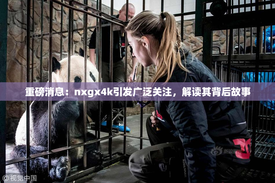 重磅消息：nxgx4k引发广泛关注，解读其背后故事