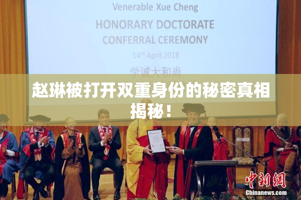 赵琳被打开双重身份的秘密真相揭秘！