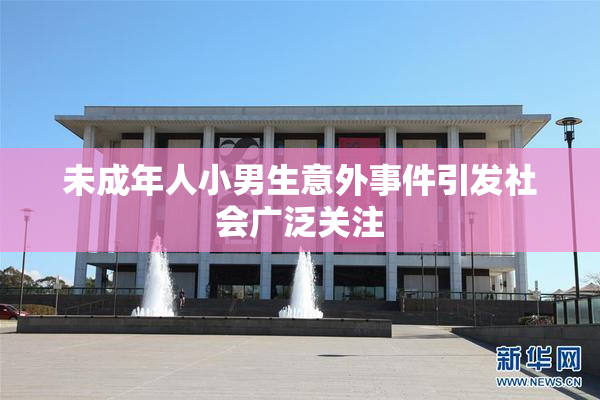 未成年人小男生意外事件引发社会广泛关注