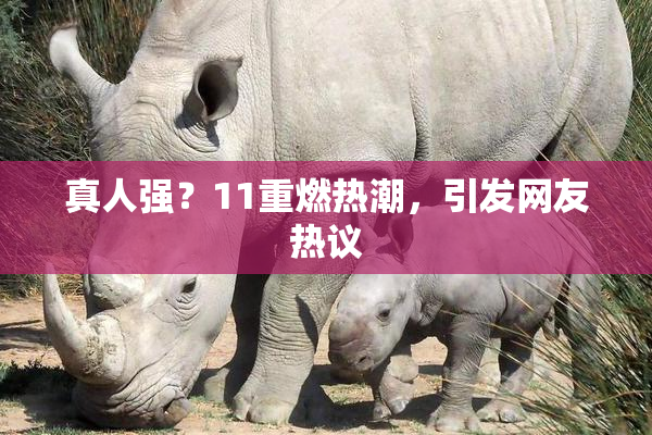 真人强？11重燃热潮，引发网友热议