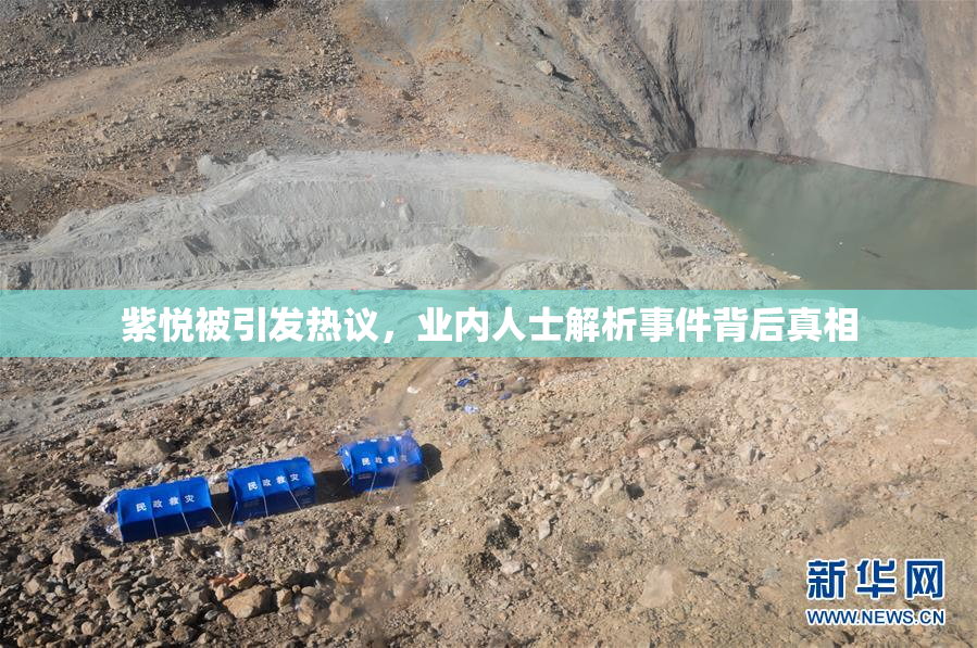 紫悦被引发热议，业内人士解析事件背后真相