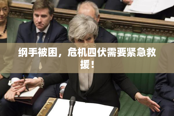 纲手被困，危机四伏需要紧急救援！