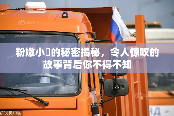 粉嫩小泬的秘密揭秘，令人惊叹的故事背后你不得不知