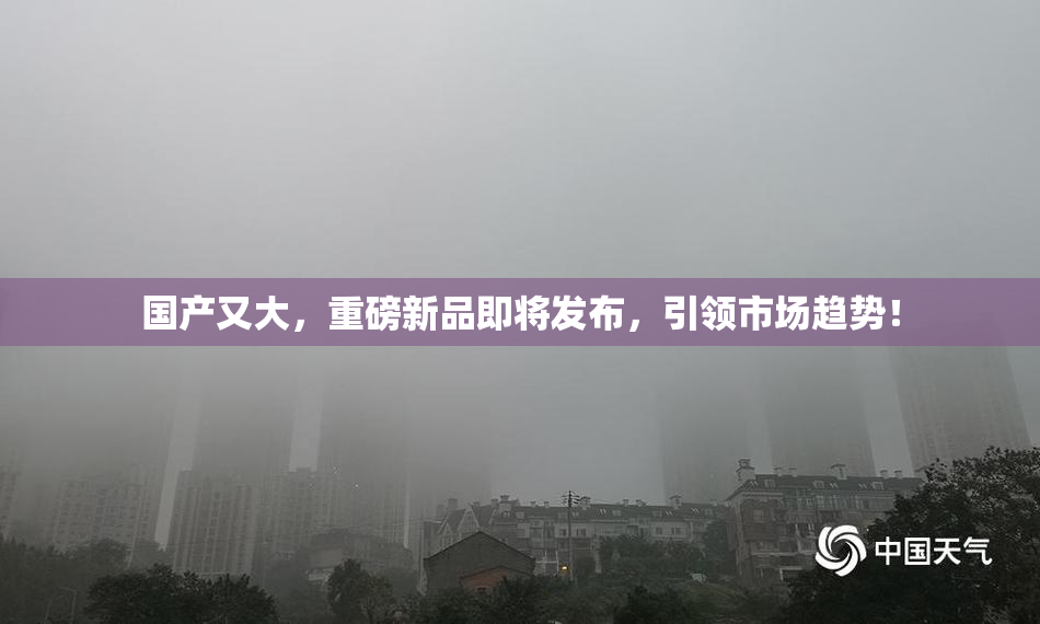 国产又大，重磅新品即将发布，引领市场趋势！