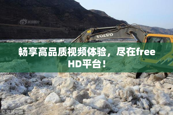 畅享高品质视频体验，尽在freeHD平台！