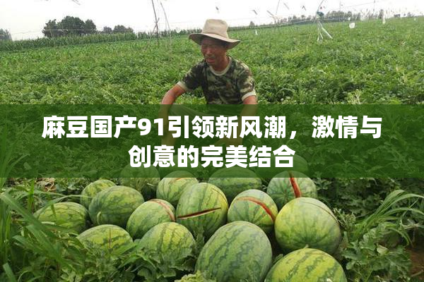 麻豆国产91引领新风潮，激情与创意的完美结合