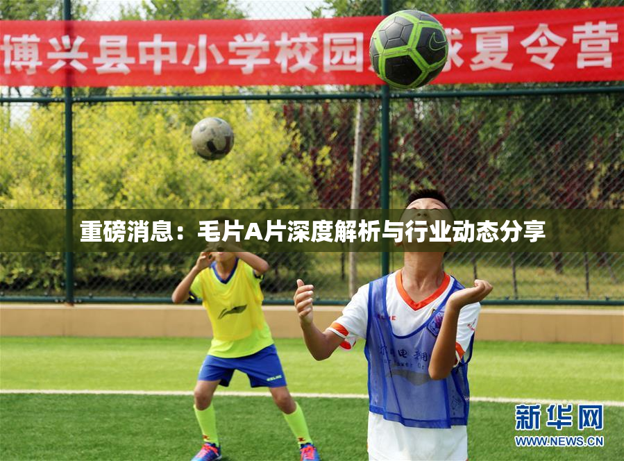 重磅消息：毛片A片深度解析与行业动态分享