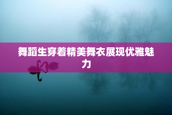 舞蹈生穿着精美舞衣展现优雅魅力