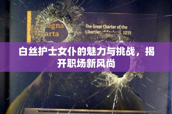 白丝护士女仆的魅力与挑战，揭开职场新风尚