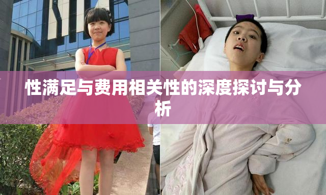 性满足与费用相关性的深度探讨与分析