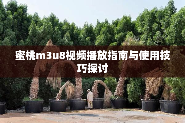 蜜桃m3u8视频播放指南与使用技巧探讨